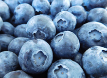 Who doesn’t love blueberries?